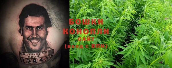 бошки Горнозаводск